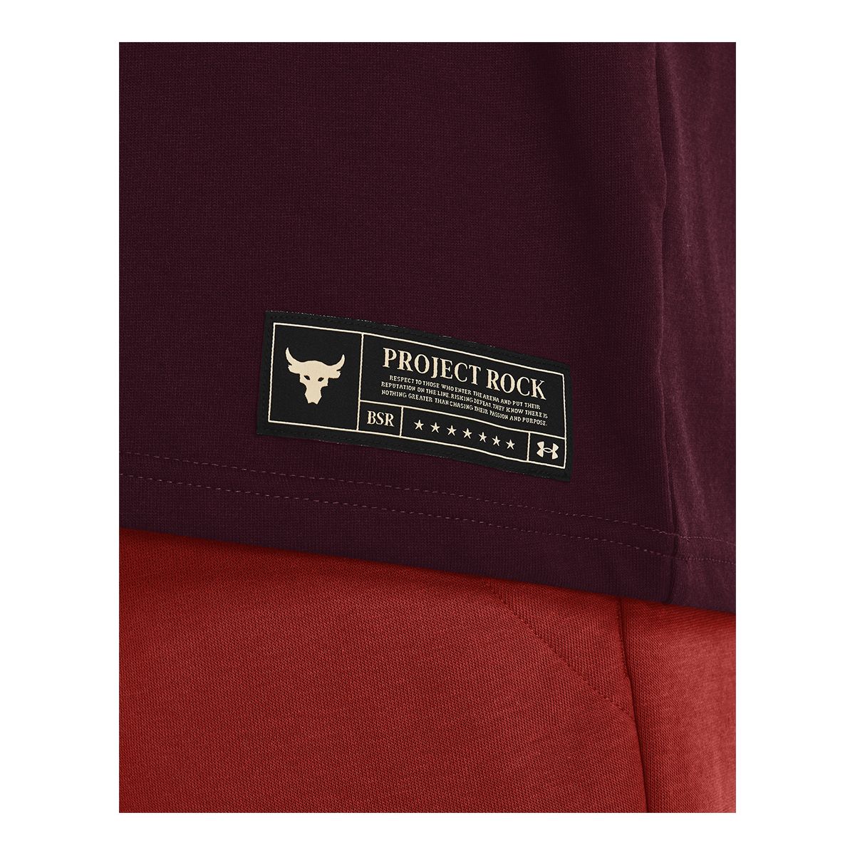 Under Armour Men's Project Rock HW Crest T-Shirt