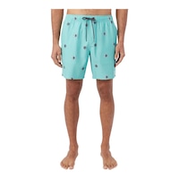 O'Neill Men's Mimosa Volley Boardshorts Front_Flat