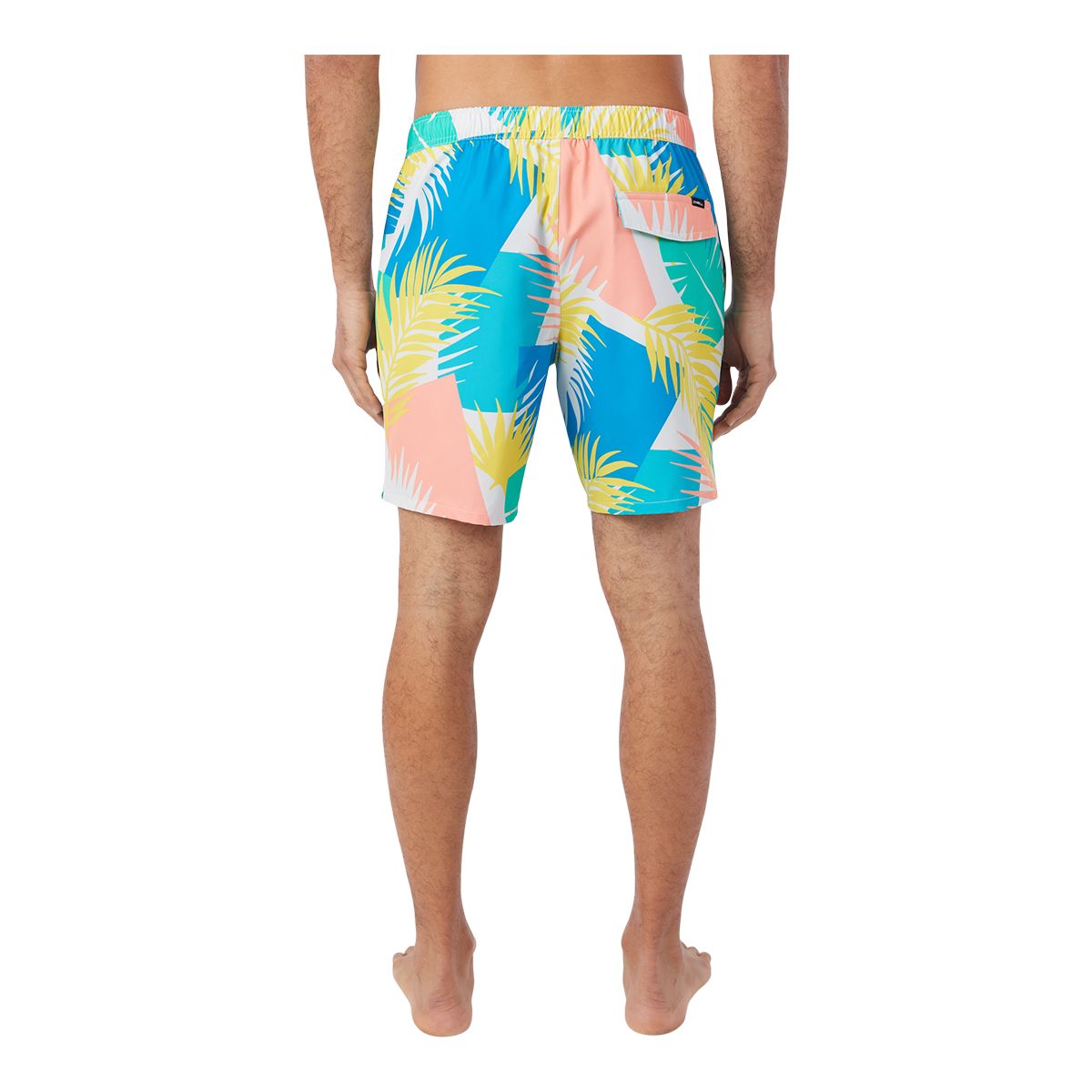 O'Neill Men's Mimosa Volley Boardshorts