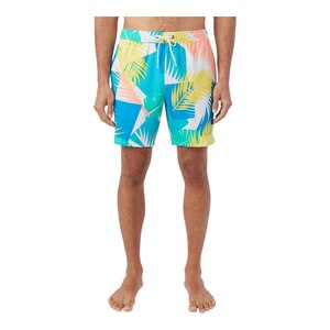 O'Neill Men's Mimosa Volley Boardshorts