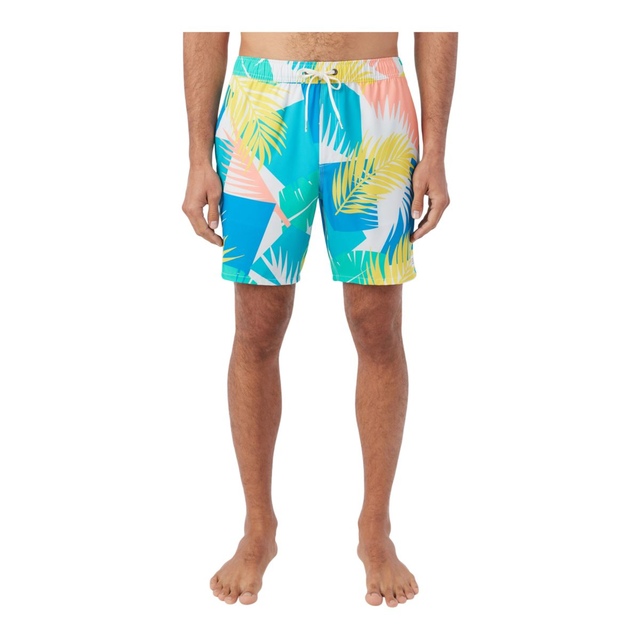 O'Neill Men's Mimosa Volley Boardshorts