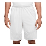 Nike Men's Icon+ 11" Shorts