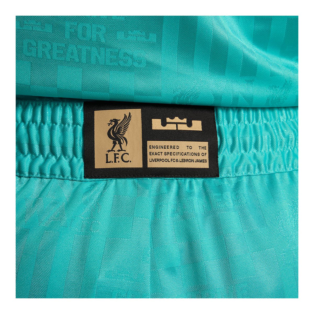 Nike Men's LeBron James Liverpool FC DNA 8 Inch Shorts