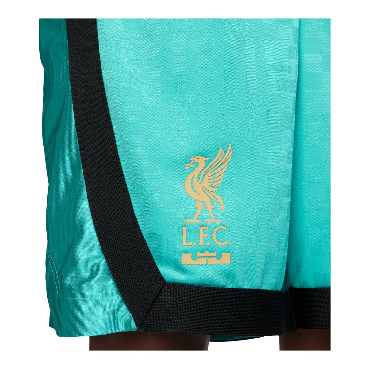 Nike Men's LeBron James Liverpool FC DNA 8 Inch Shorts