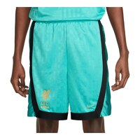 Nike Men's LeBron James Liverpool FC DNA 8 Inch Shorts Front_Flat