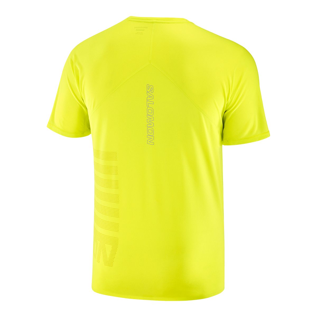 Salomon Men's Sense Aero Graphic T Shirt