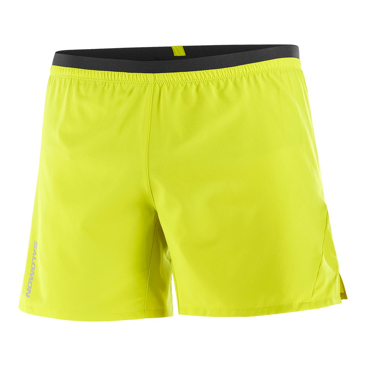 Salomon Men's Cross 5 Inch Shorts with Liner