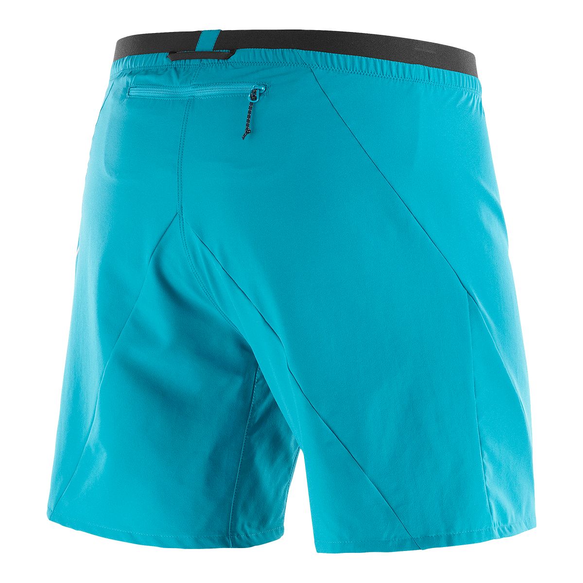 Salomon Men's Cross 7 Inch Shorts with Liner