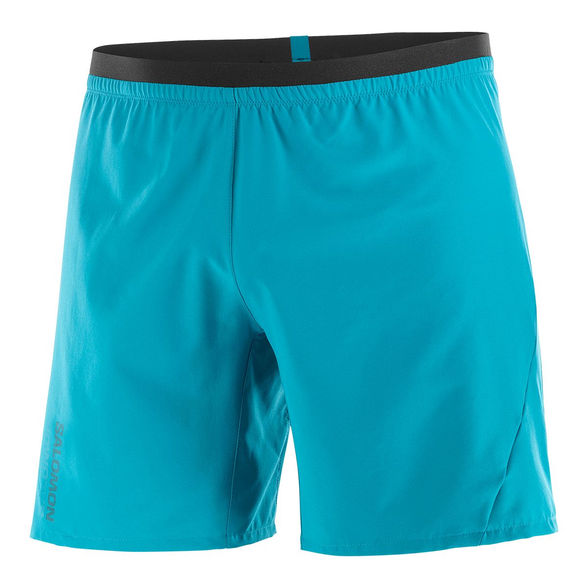 Salomon Men's Cross 7 Inch Shorts with Liner