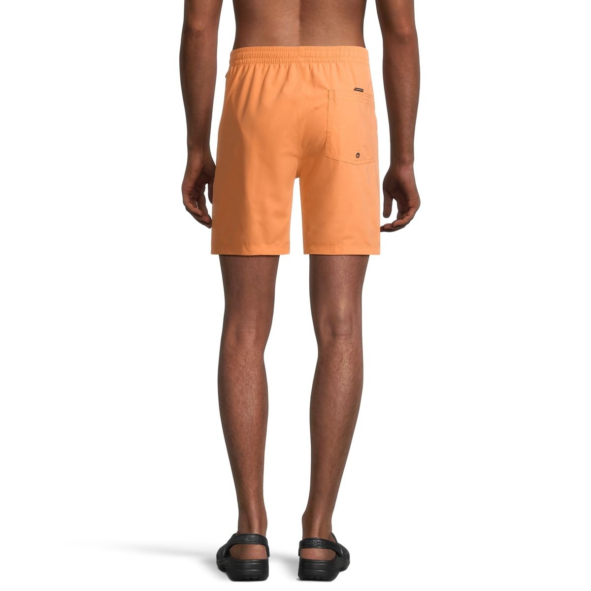 Quiksilver Men's Everyday 17 Inch Volley Shorts