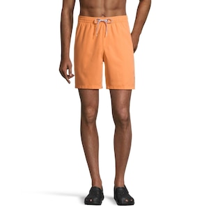 Quiksilver Men's Everyday 17 Inch Volley Shorts