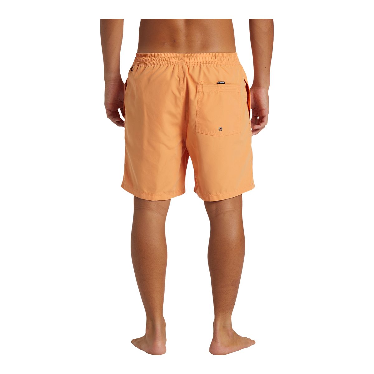 Quiksilver Men's Everyday 17 Inch Volley Shorts
