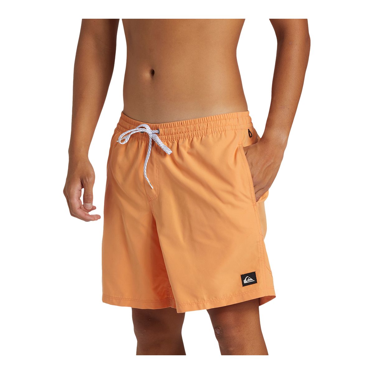 Quiksilver Men's Everyday 17 Inch Volley Shorts