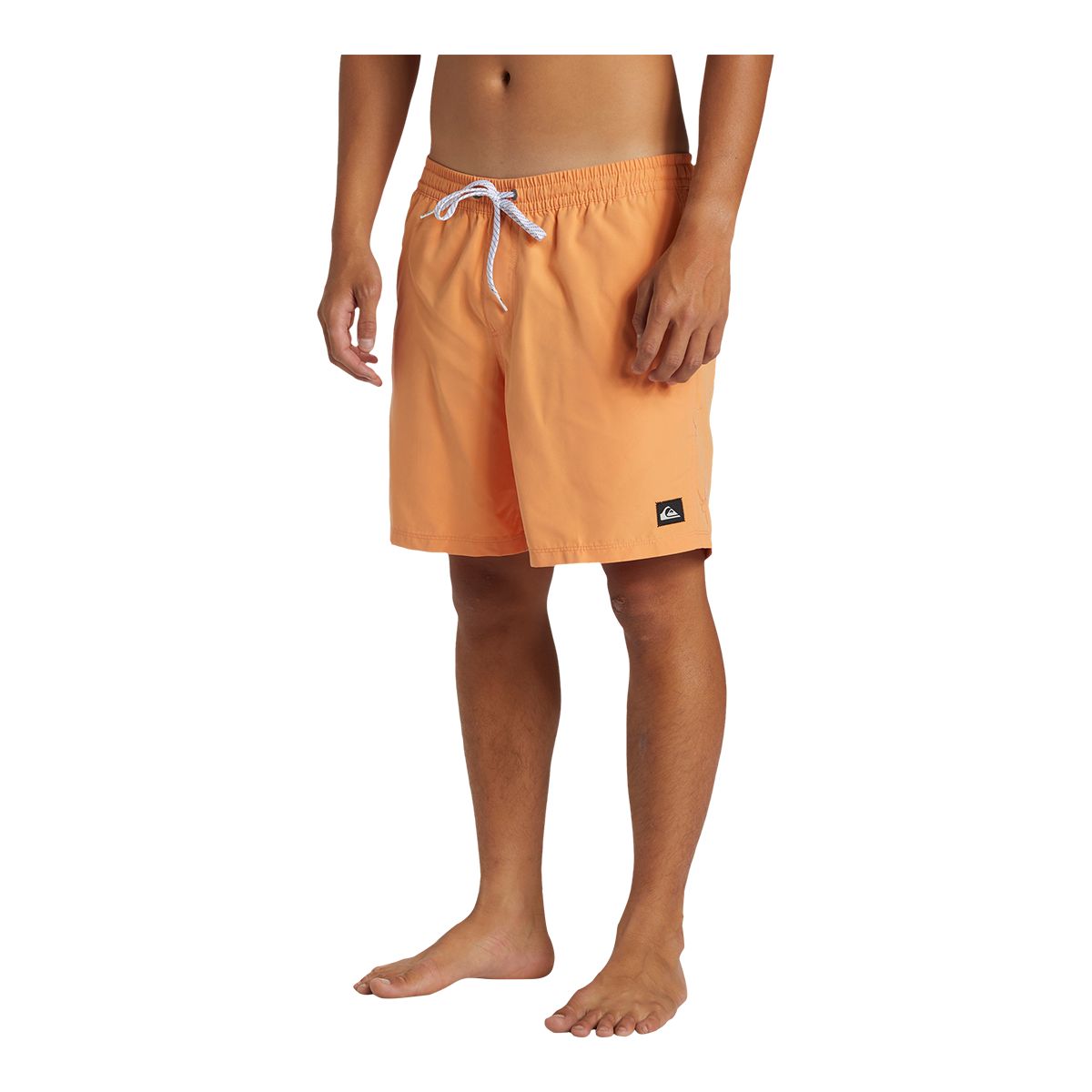 Quiksilver Men's Everyday 17 Inch Volley Shorts