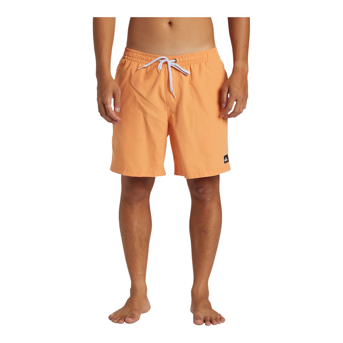 Quiksilver Men's Everyday 17 Inch Volley Shorts
