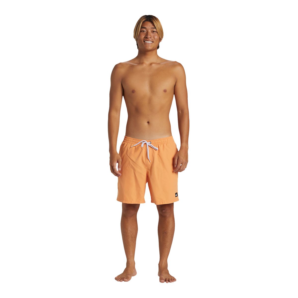 Quiksilver Men's Everyday 17 Inch Volley Shorts