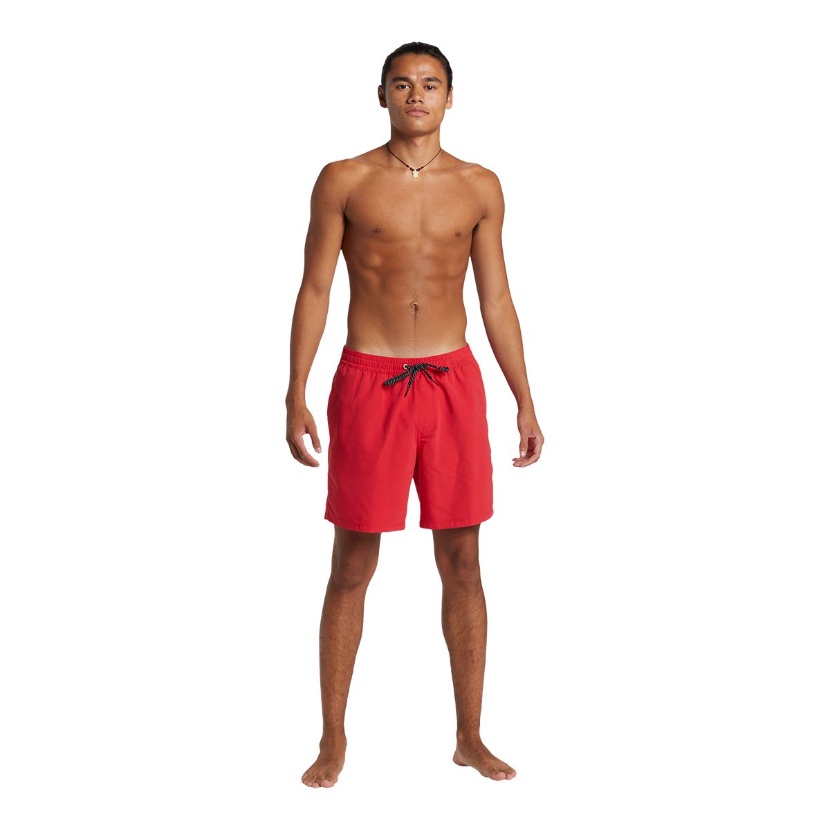 Quiksilver Men's Everyday 17 Inch Volley Shorts