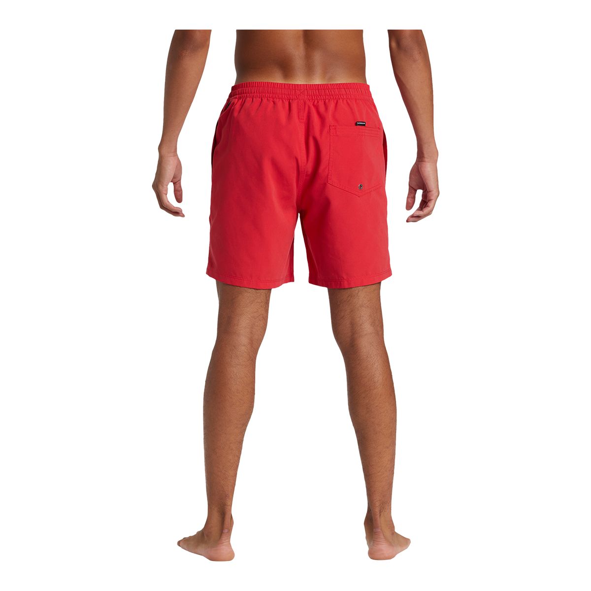 Quiksilver Men's Everyday 17 Inch Volley Shorts