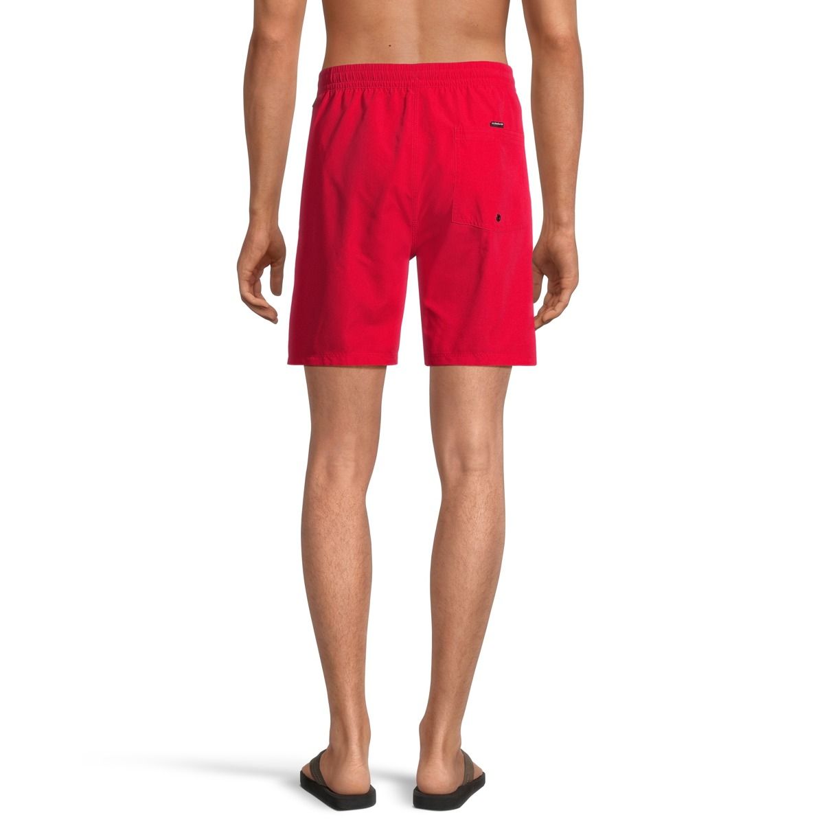 Quiksilver Men's Everyday 17 Inch Volley Shorts