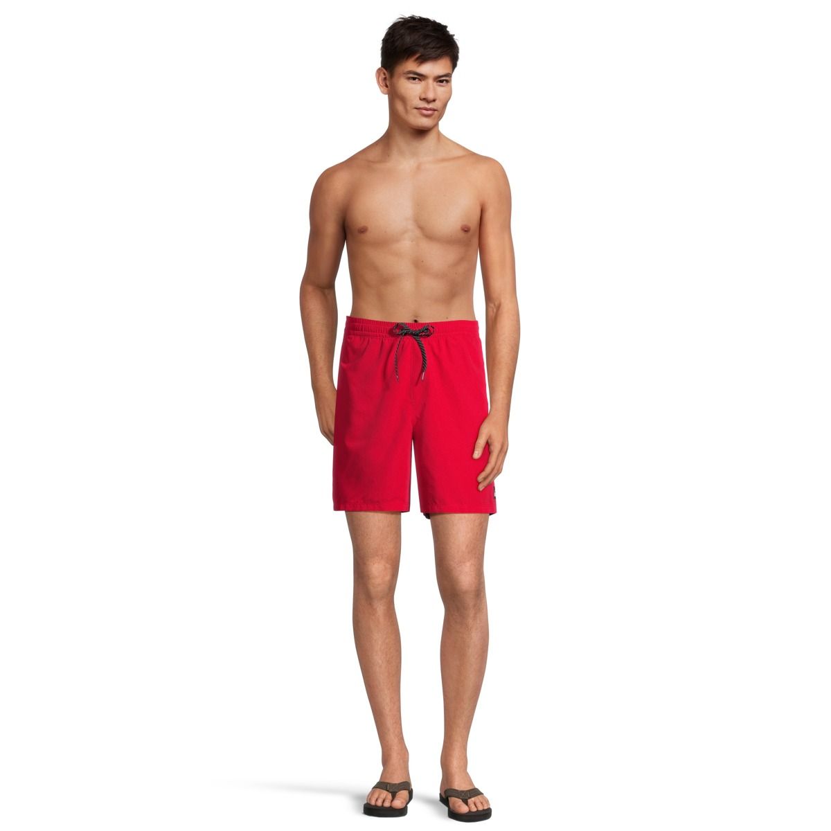 Quiksilver Men's Everyday 17 Inch Volley Shorts