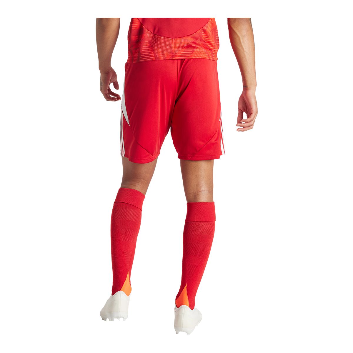 adidas Men's Tiro 24 Shorts