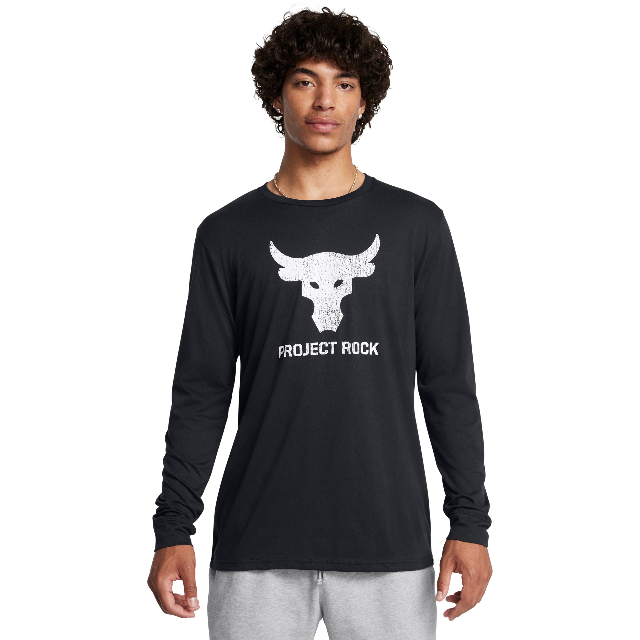 Under Armour Men's Project Rock Brahma Bull Long Sleeve T Shirt