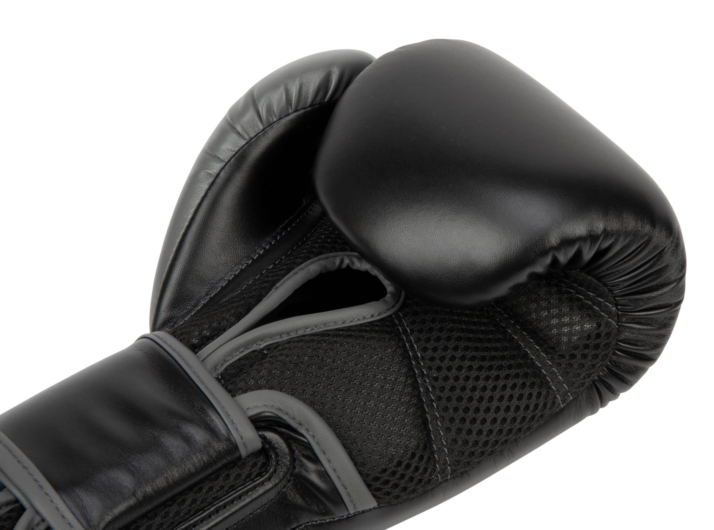 Everlast Powerlock 2 Boxing Gloves