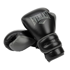 Everlast Powerlock 2 12 oz Boxing Gloves