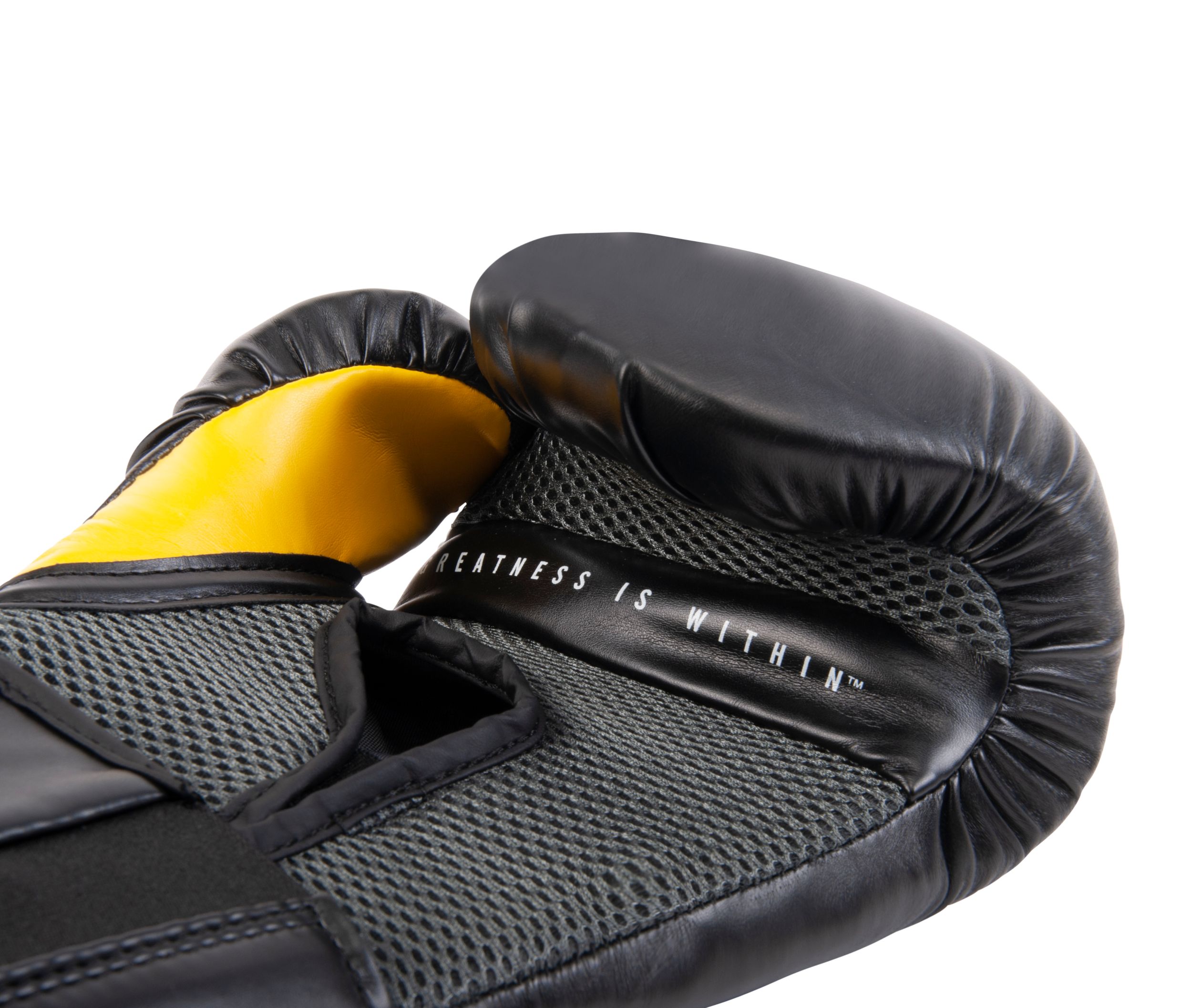 Everlast Pro Style Elite 2.0 Boxing Gloves