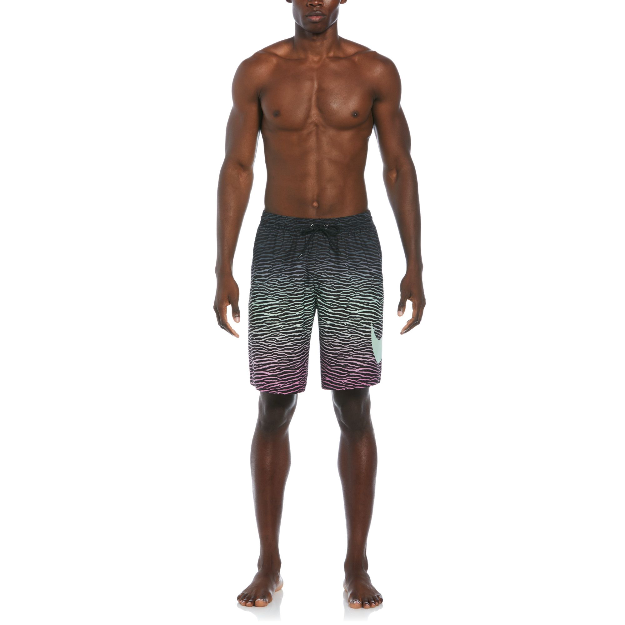 Nike Men's Tiger Fade 9" Volley Shorts