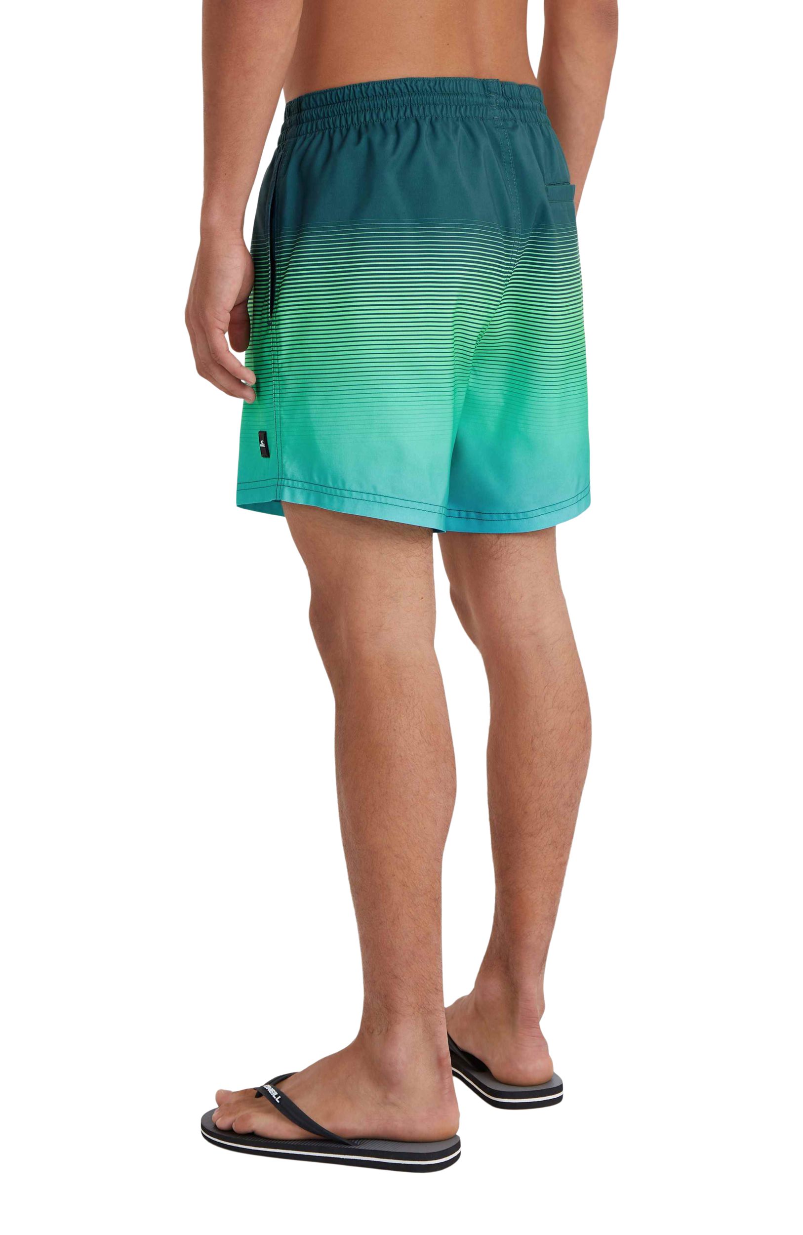 O'Neill Men's Cali Gradient 15 Inch Volleys Shorts