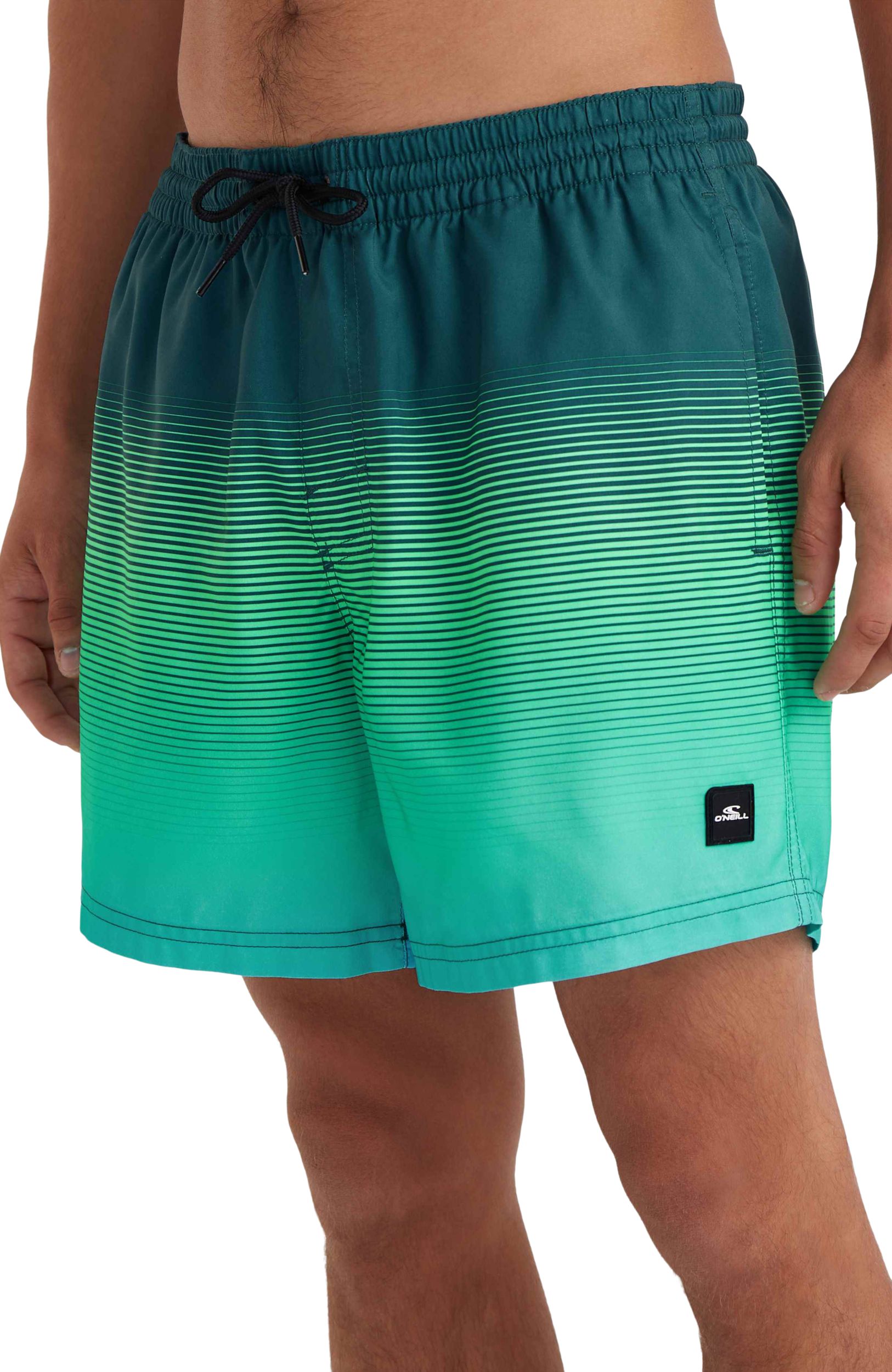 O'Neill Men's Cali Gradient 15 Inch Volleys Shorts
