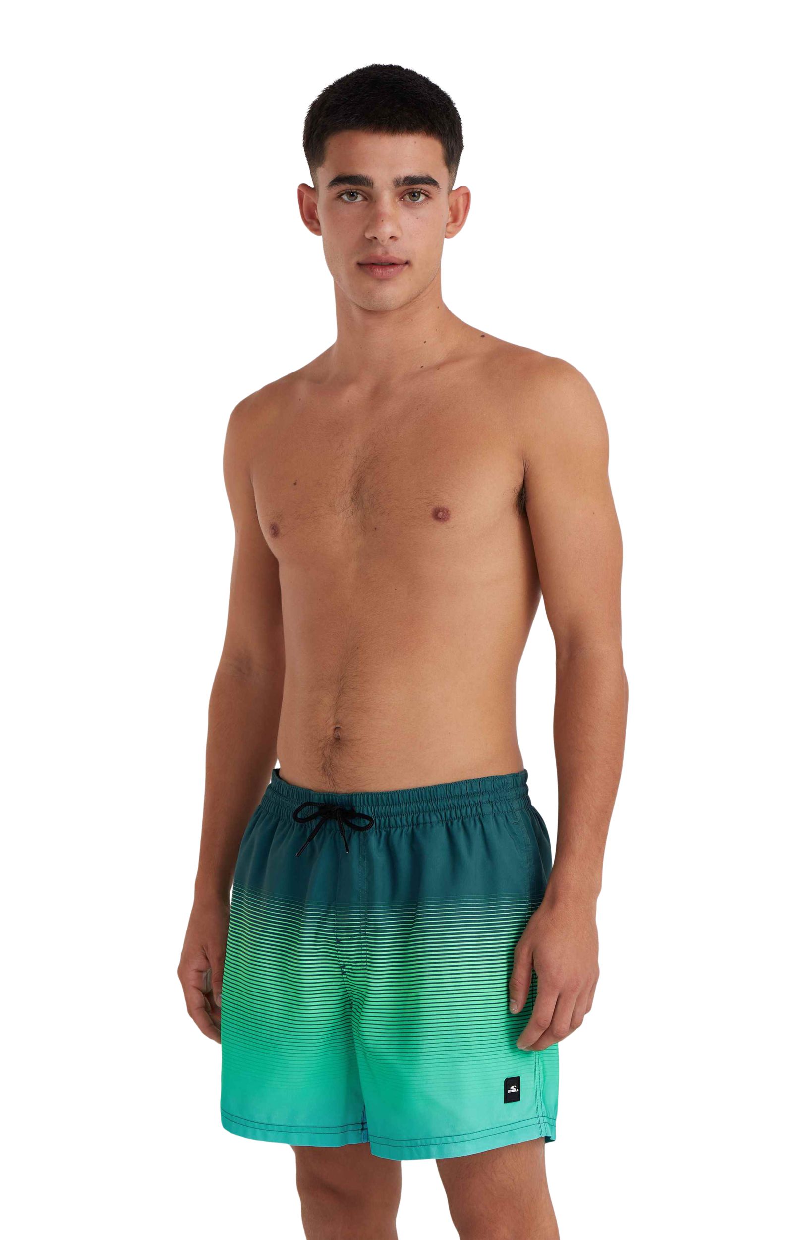 O'Neill Men's Cali Gradient 15 Inch Volleys Shorts