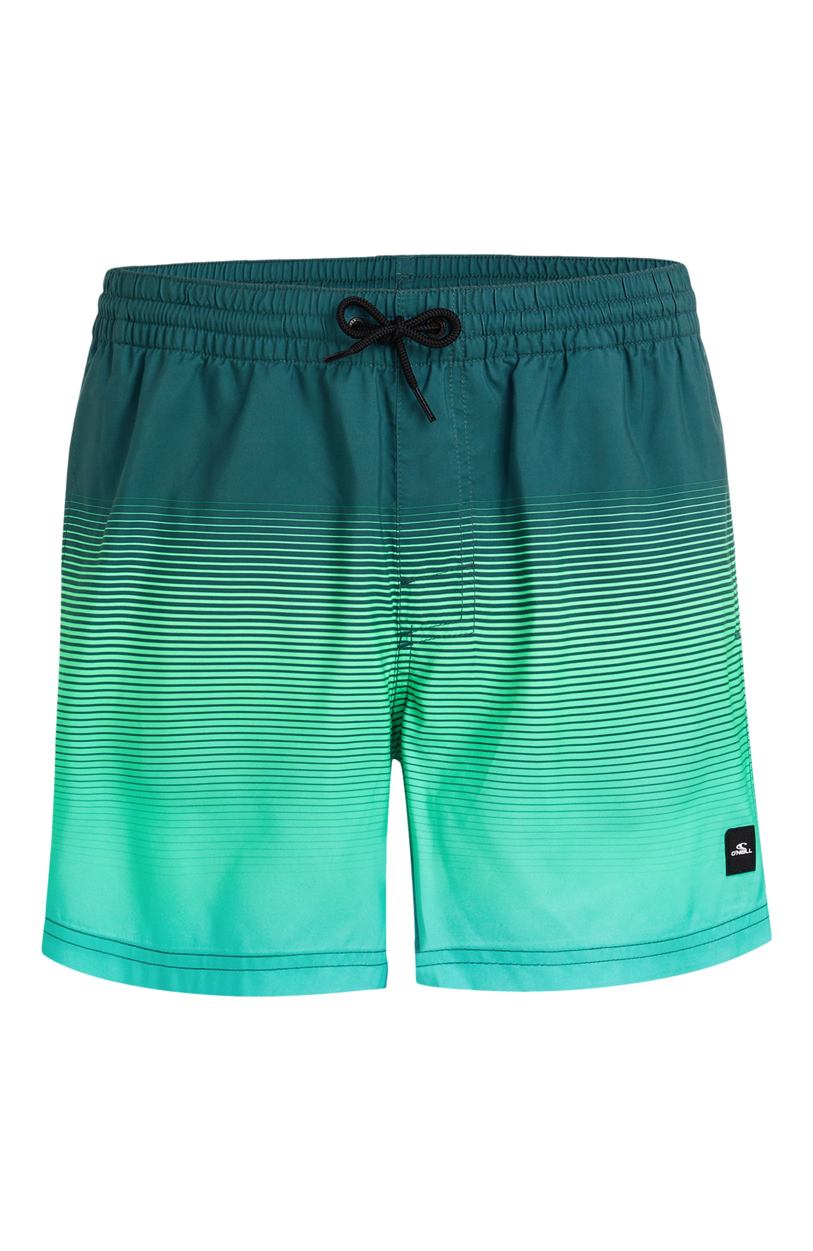 O'Neill Men's Cali Gradient 15 Inch Volleys Shorts