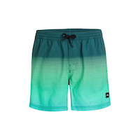 O'Neill Men's Cali Gradient 15 Inch Volleys Shorts Front_Flat