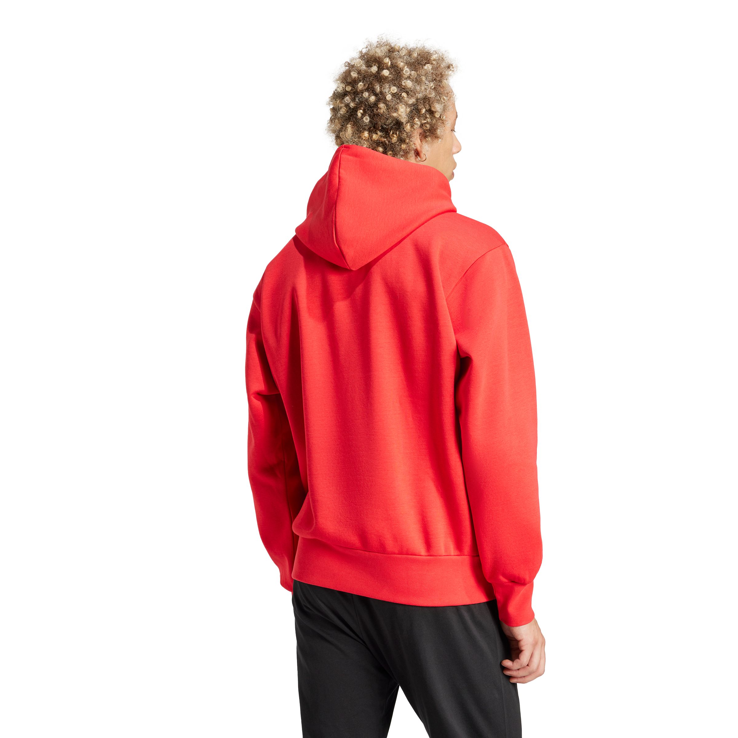 adidas Men's Sportswear Essentials Big Logo Pullover Hoodie