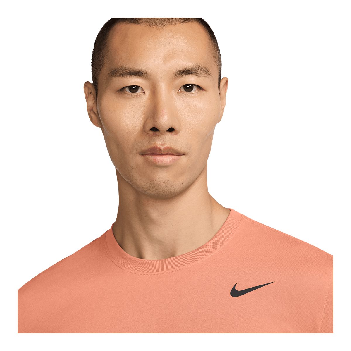 Nike Men's Dri-FIT Legend T Shirt SportChek