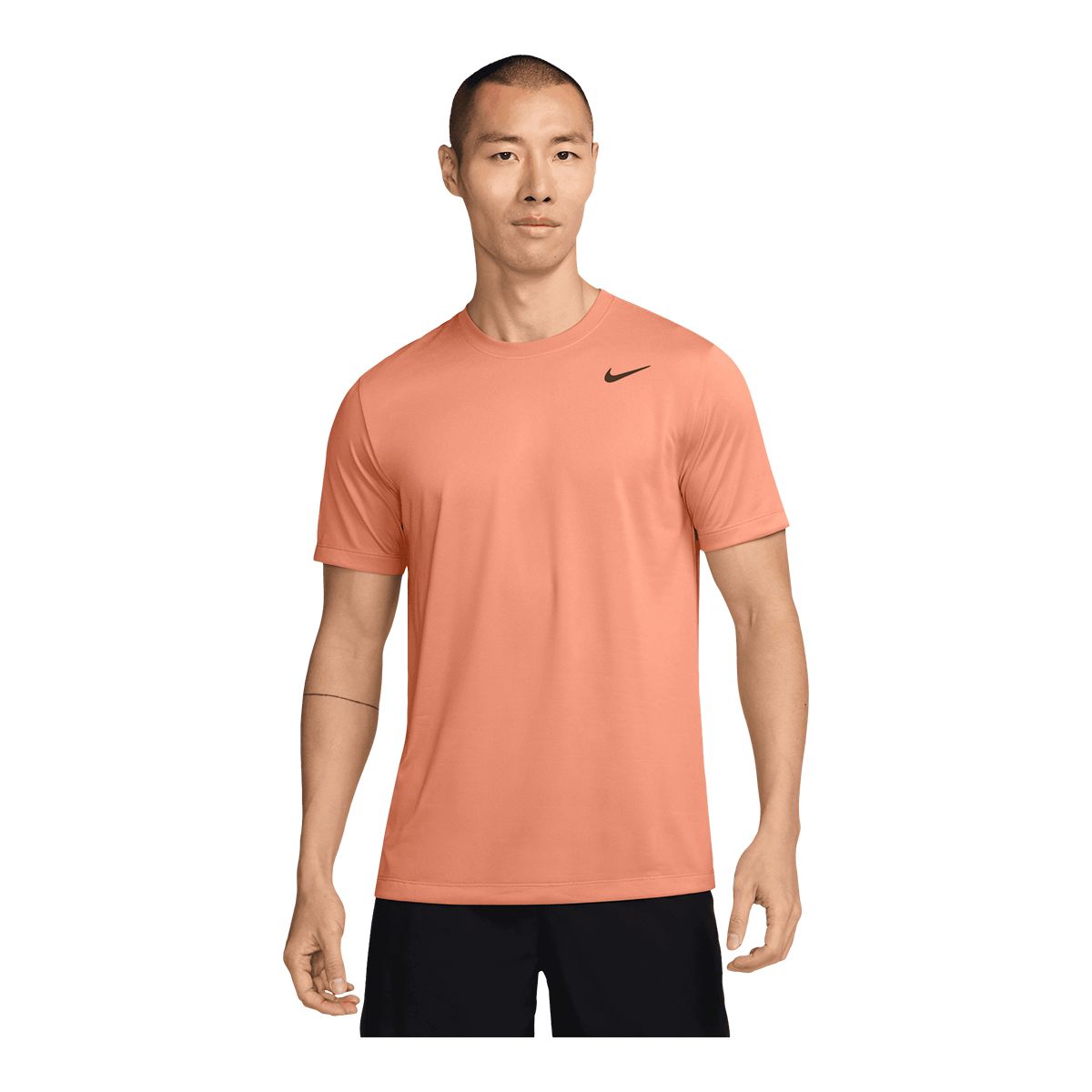 Nike Men's Dri-FIT Legend T Shirt SportChek