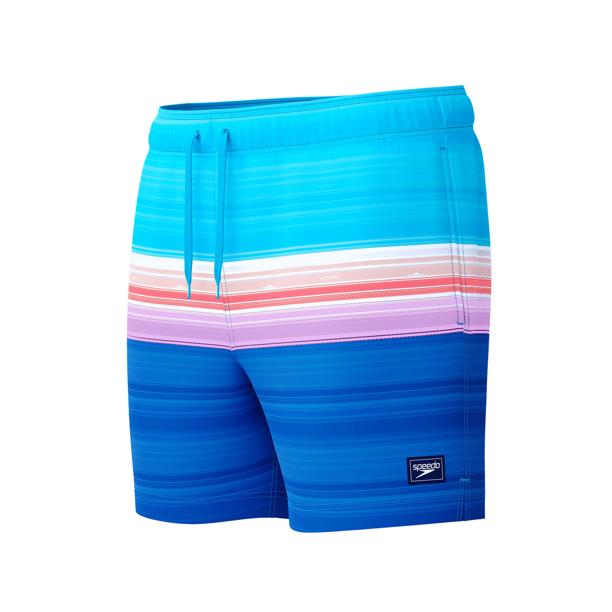 Speedo Men's Redondo Edge Volley Shorts