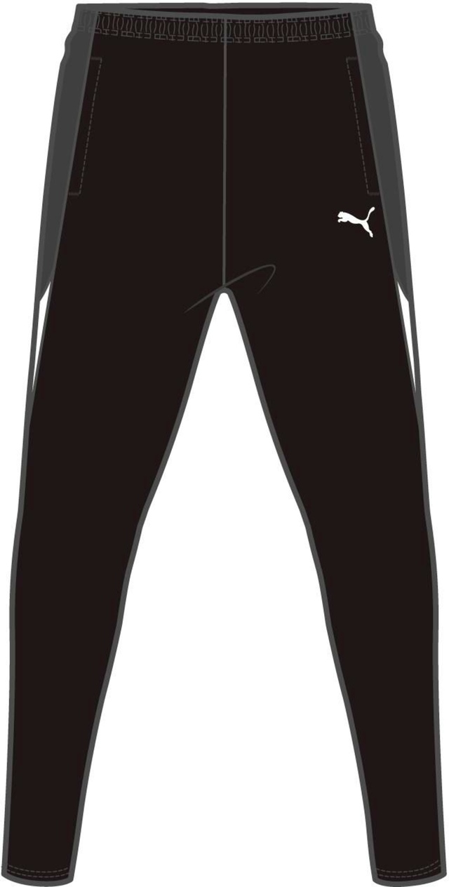 PUMA Men's Liga Training Pants