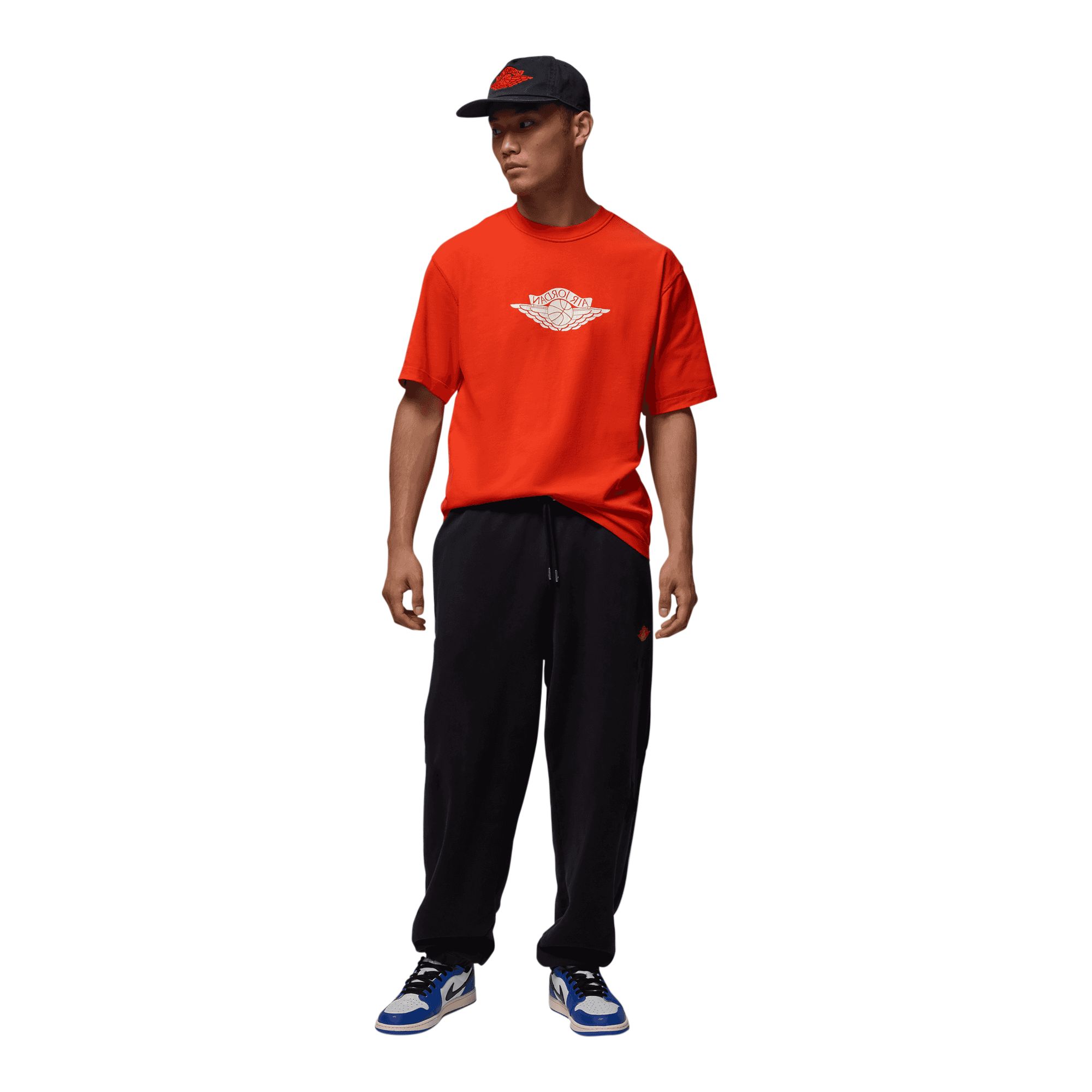 NIKE Jordan Rare Air Wash '85 Crew Tシャツ ジョーダン JORDAN BRAND M J RARE AIR WSH 85 SS CREW / ジョーダン