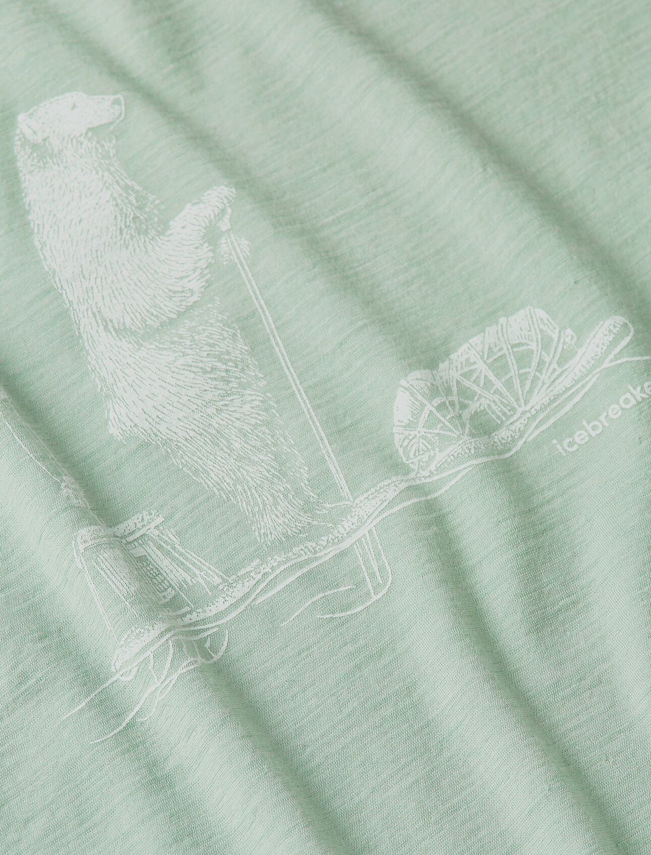 Icebreaker Men's 150 Tech Lite Polar Paddle T Shirt