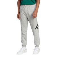 adidas Men's Sportswear Essentials Big Logo Jogger Pants