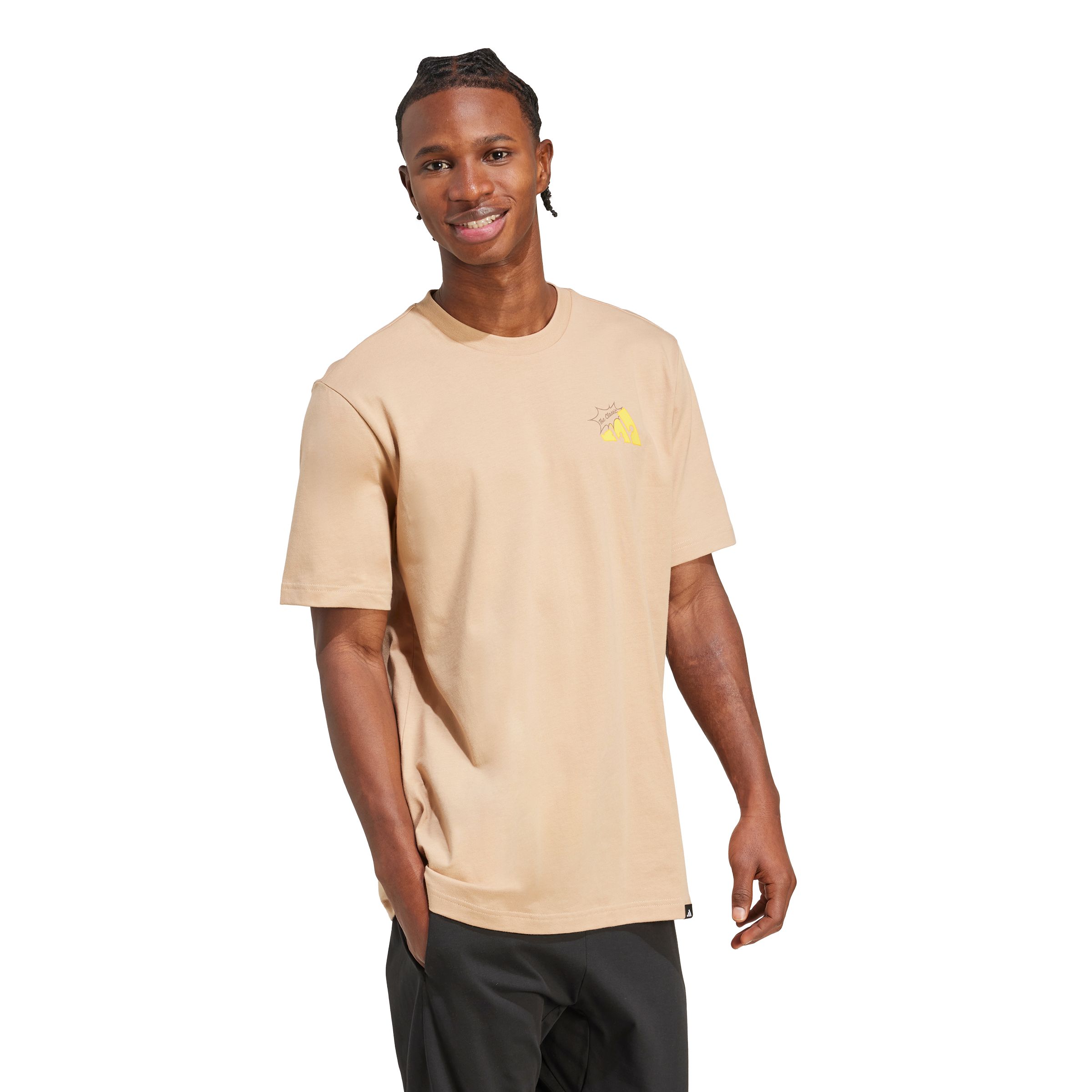 adidas Men's Sportswear Cheese Stripe T Shirt | SportChek