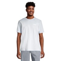 Ripzone Men's Coastal Swim T-Shirt