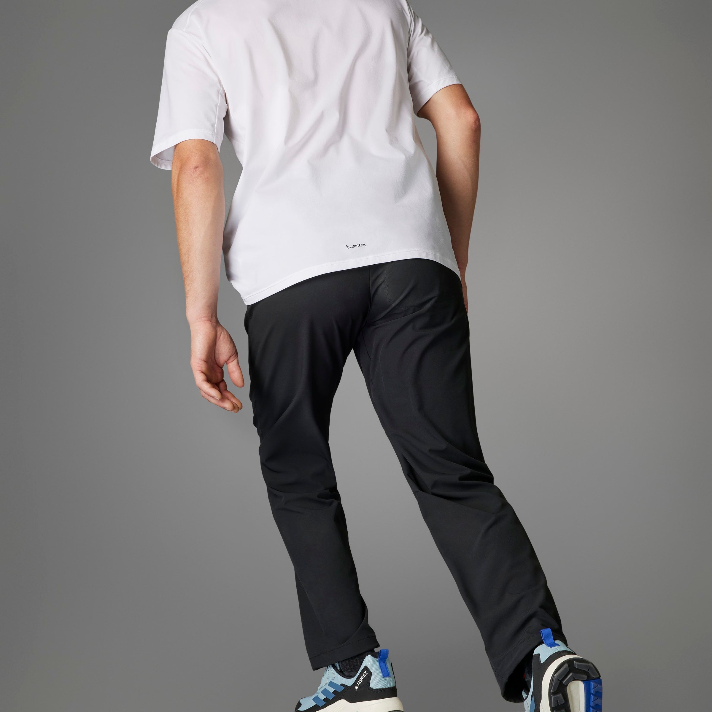 adidas Men's Terrex Liteflex Pants