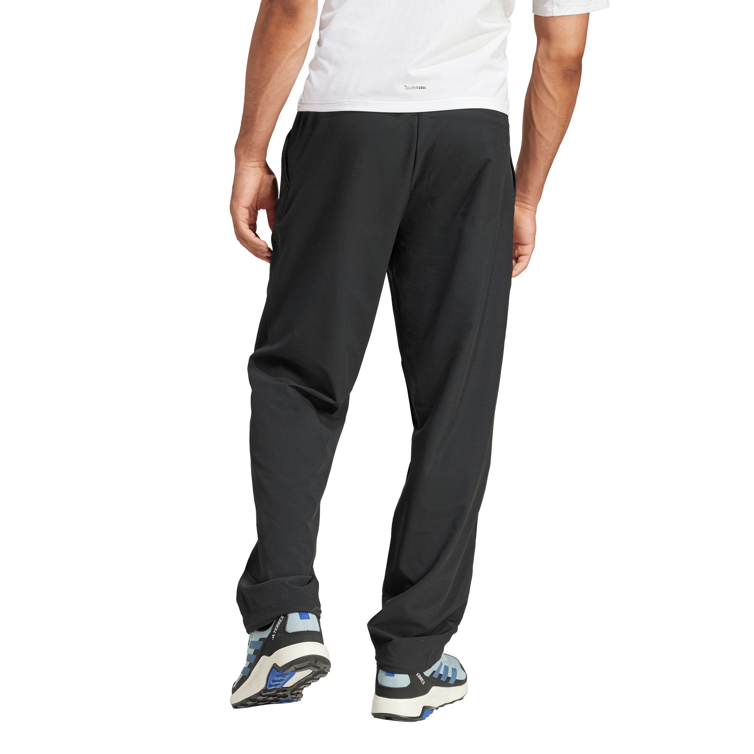 adidas Men's Terrex Liteflex Pants