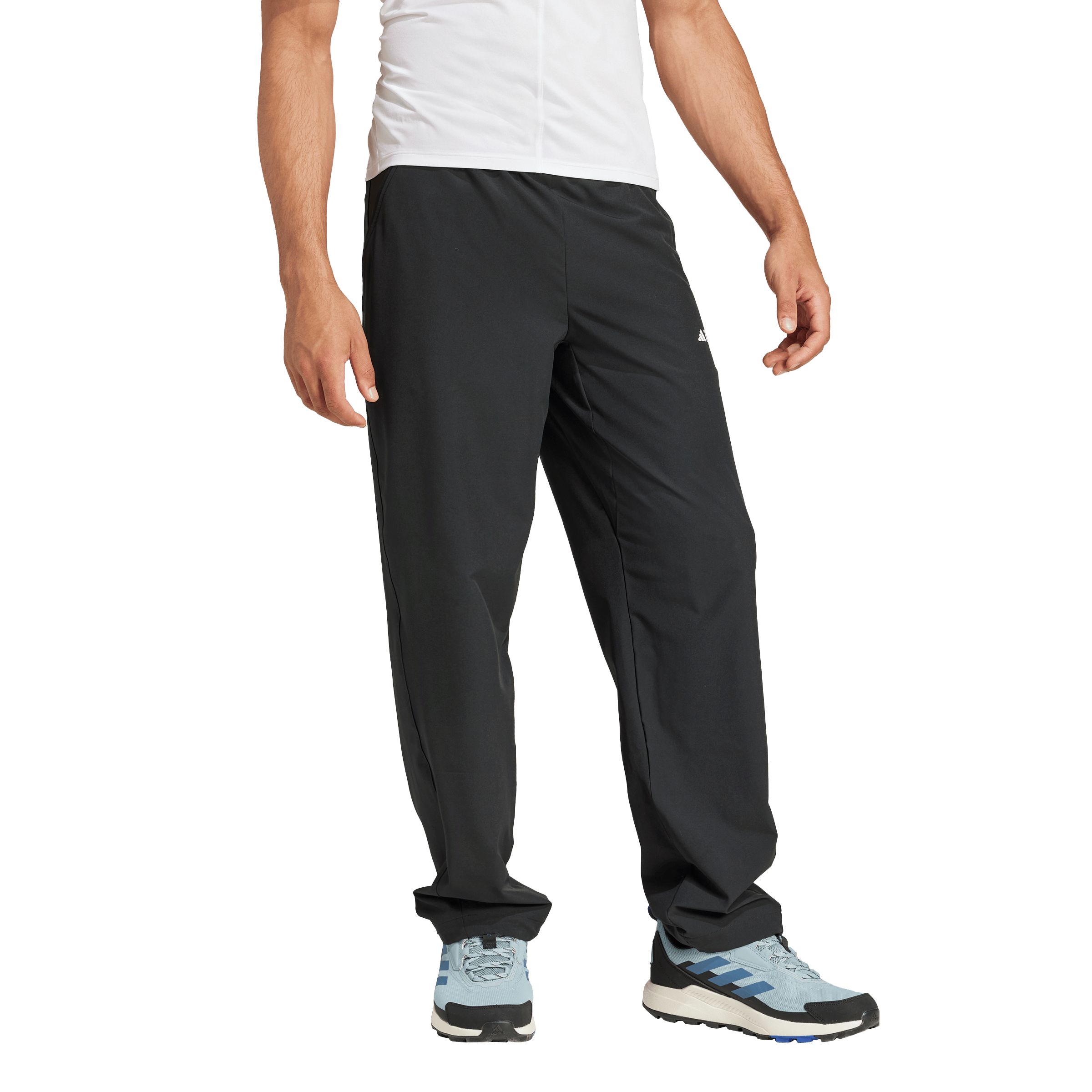 adidas Men's Terrex Liteflex Pants