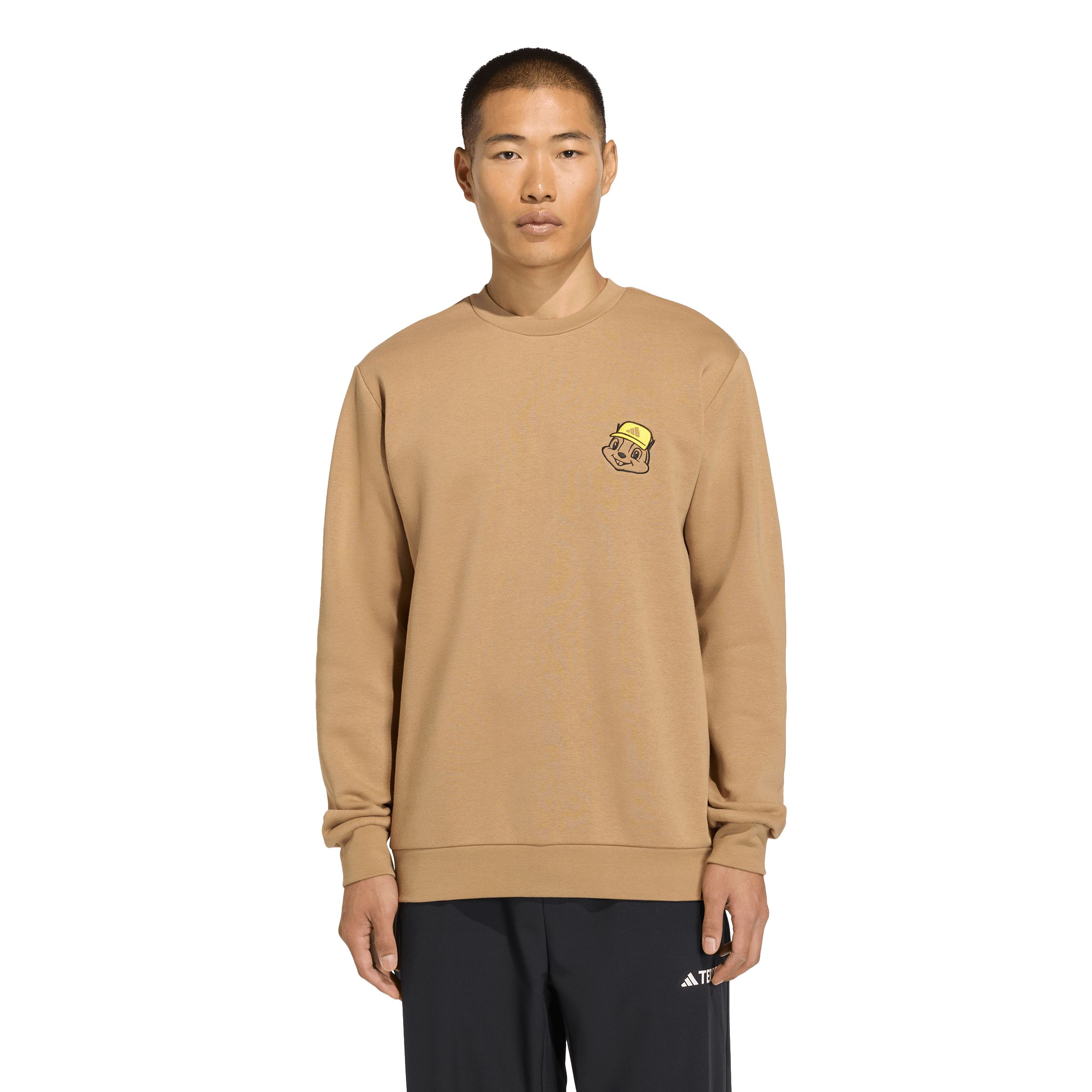 adidas Men's Terrex Outdoor Graphic Sweatshirt