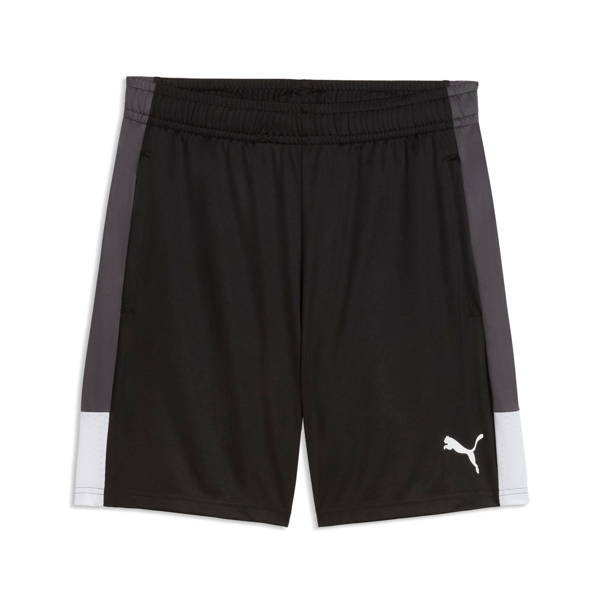 PUMA Men's LIGA Training Shorts